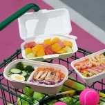 disposable plant fibre tableware