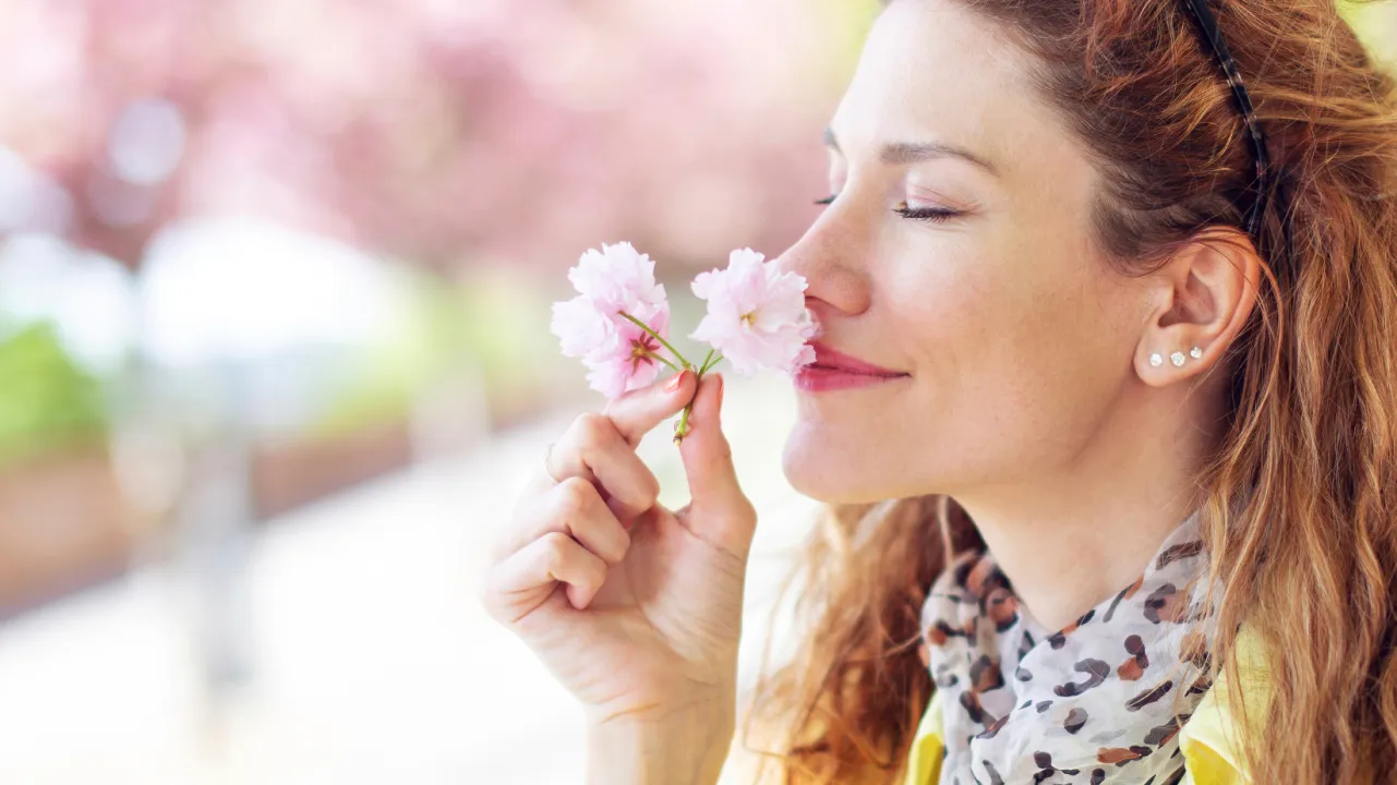 Functional Olfactory Profiling of Australian and Global Natives Oils