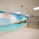 modular clean rooms / modular OR