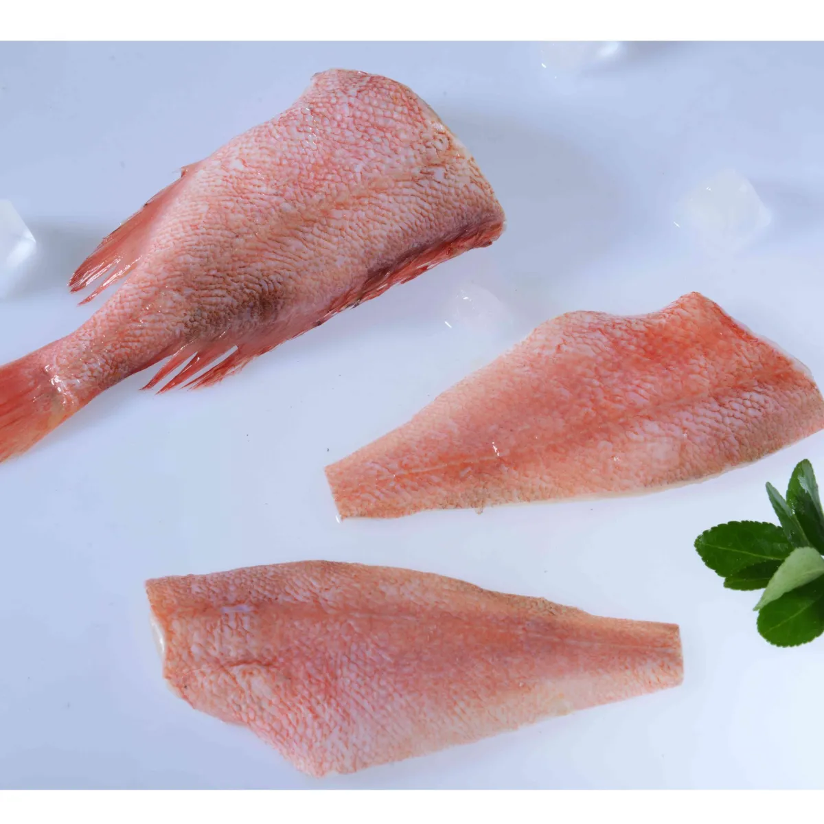 Atlantic & Pacific Ocean Perch