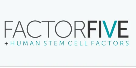FACTORFIVE