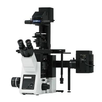 IX73
