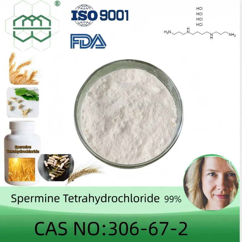 Spermine Tetrahydrochloride (SPT)CAS No.:306-67-2 98% purity min.