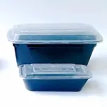 CONTENEDORES LIBRES DE BPA