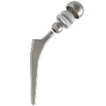 JOINT PROSTHESIS AND TOTAL HIP REPLACEMENT