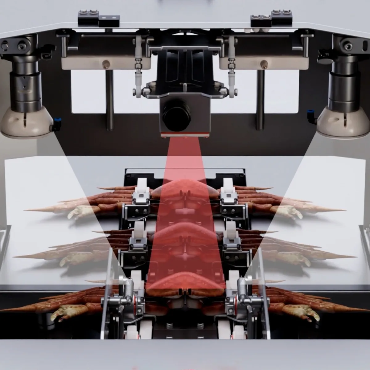 Intelligent Crab Processing