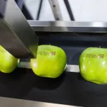 ESTEIRA INOX BI PARTIDA