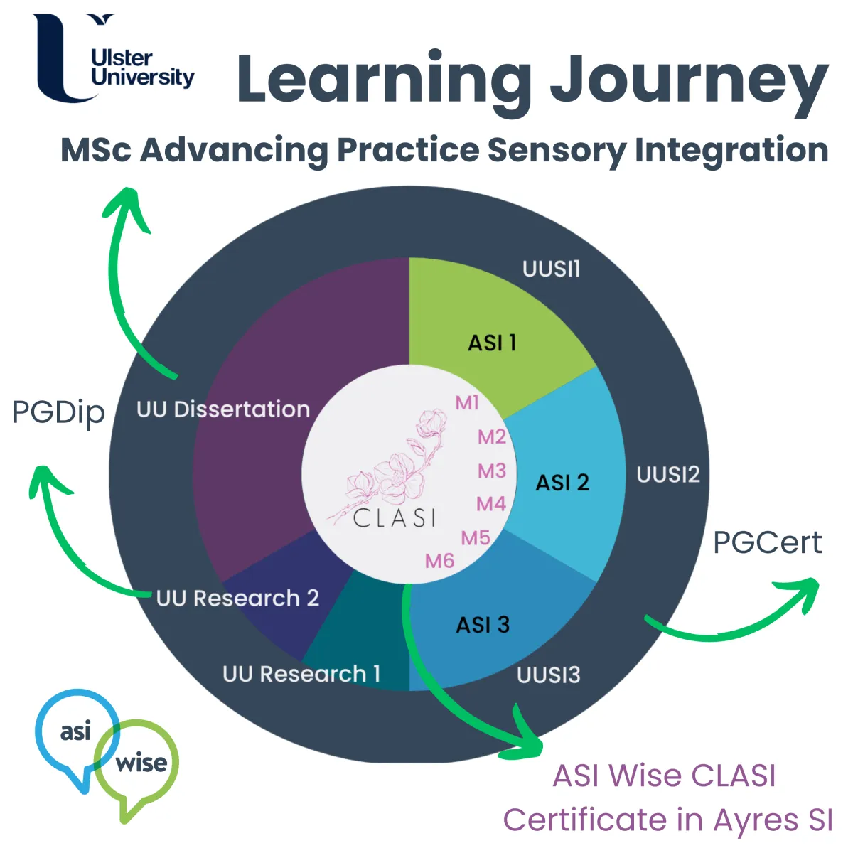 MSc Advancing Practice Sensory Integration