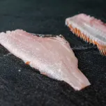 Multi Species Splitting BAADER 576