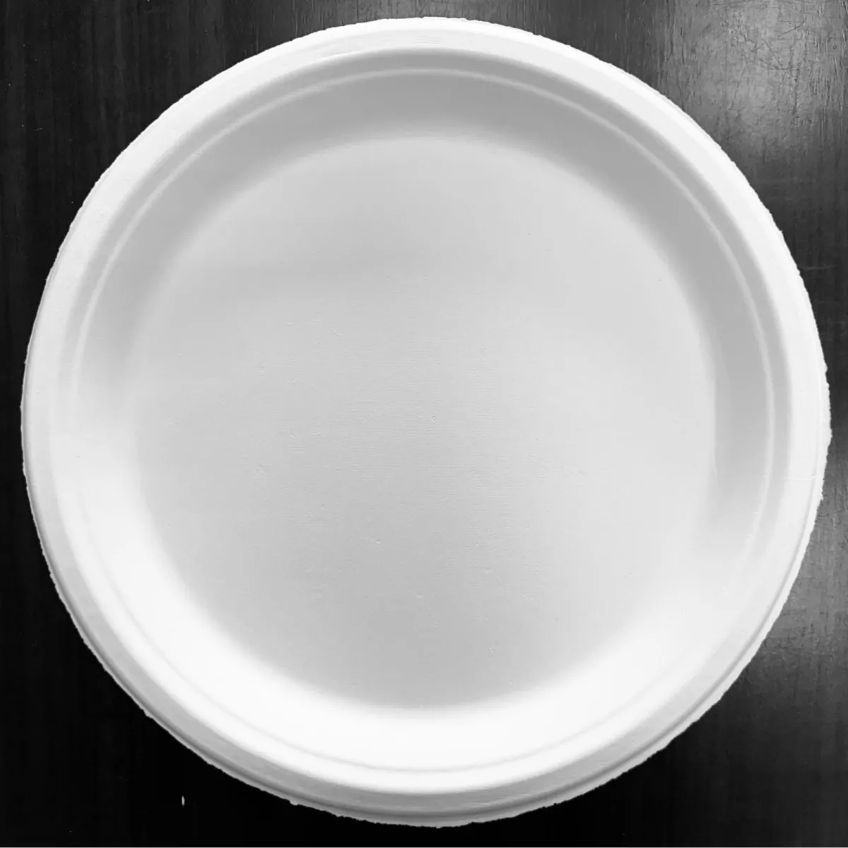10 inch Plate PFAS Free Biodegradable Meal Tray/XDJ-PPP-B1001
