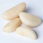 Brazil Nut