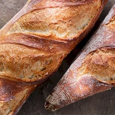 HIGH FIBER HIGH PROTEIN SOLUTION