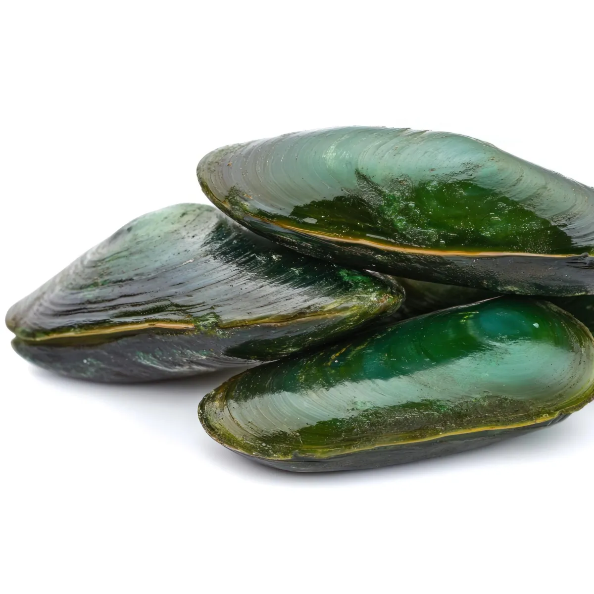 Greenshell™ - Green Lipped Mussel Oil Extract