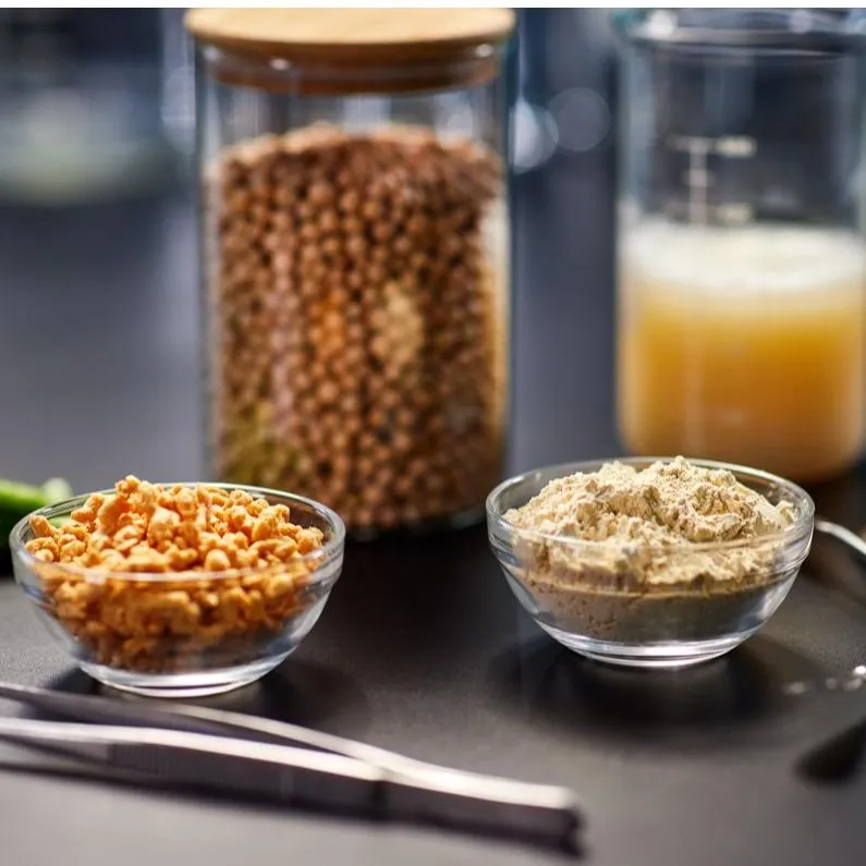 Plant-based Proteins