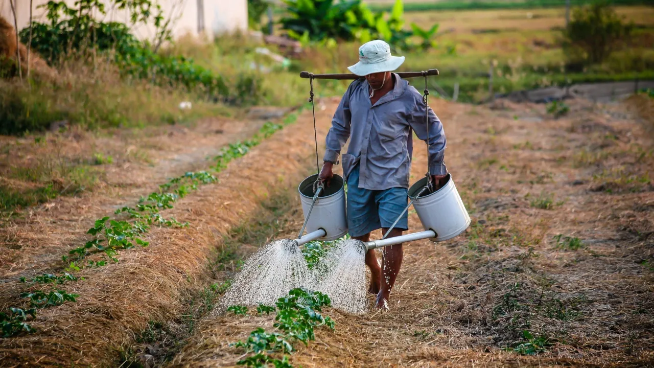 Breakout 1F: Green jobs and the just transition: applying a systems lens