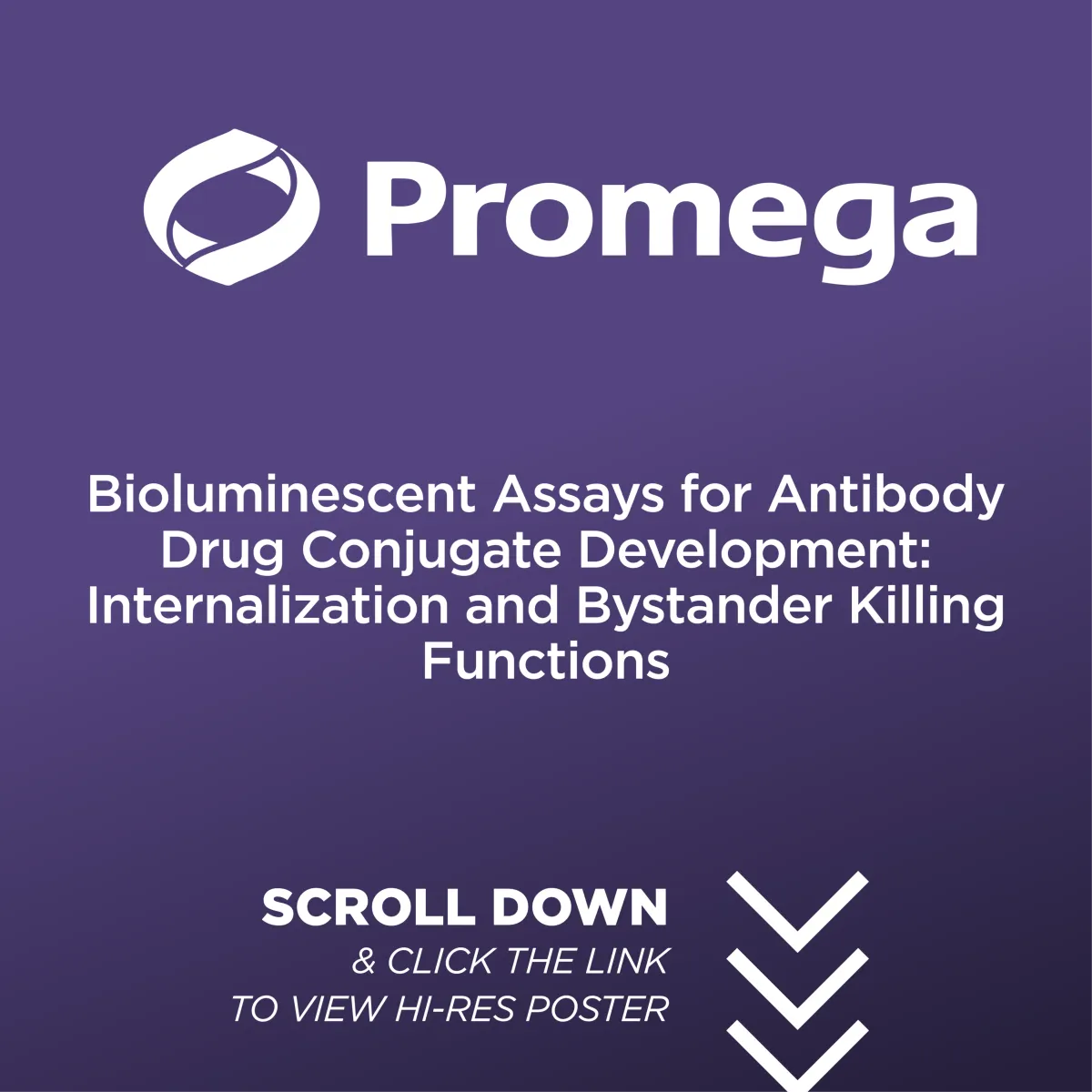 P-140-T - Bioluminescent Assays for Antibody Drug Conjugate Development: Internalization and Bystander Killing Functions