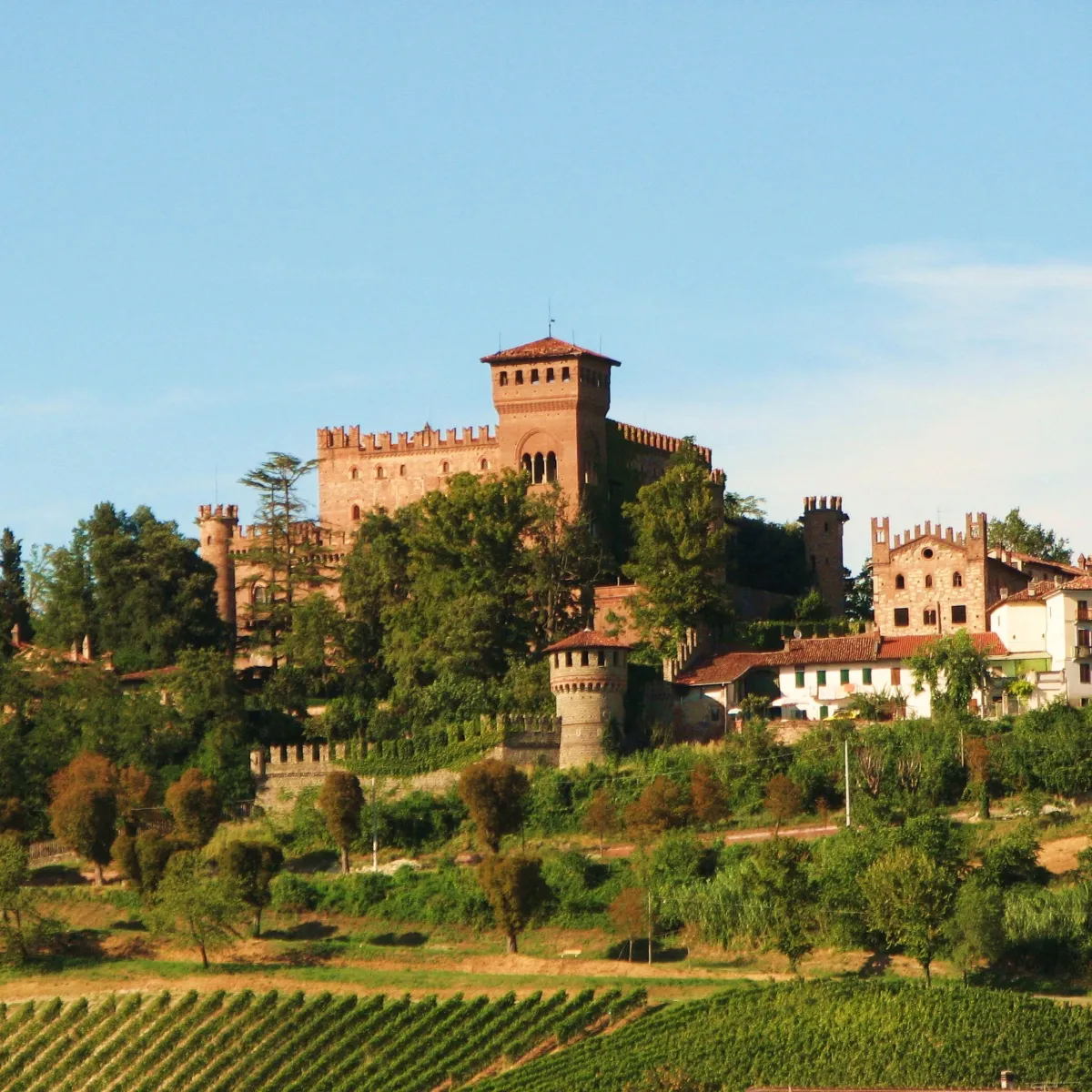 Le dimore storiche private di Torino e del Piemonte