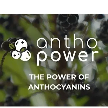 AnthoPower – The Power of Anthocyanins