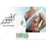 TestNOW® - Testosterone Quantitative Test