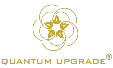 Leela Quantum Tech