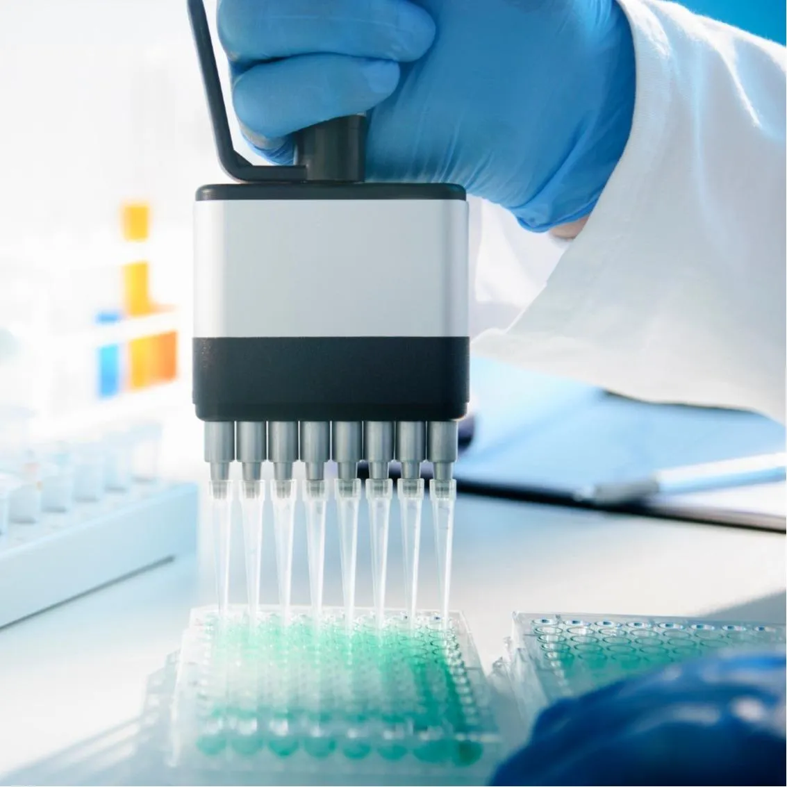 GMP Cell-based Bioassays and Potency Testing