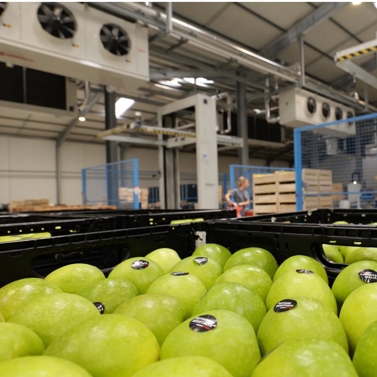 Conservation Longue durée des denrées alimentaires