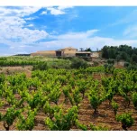 Nen del Celler