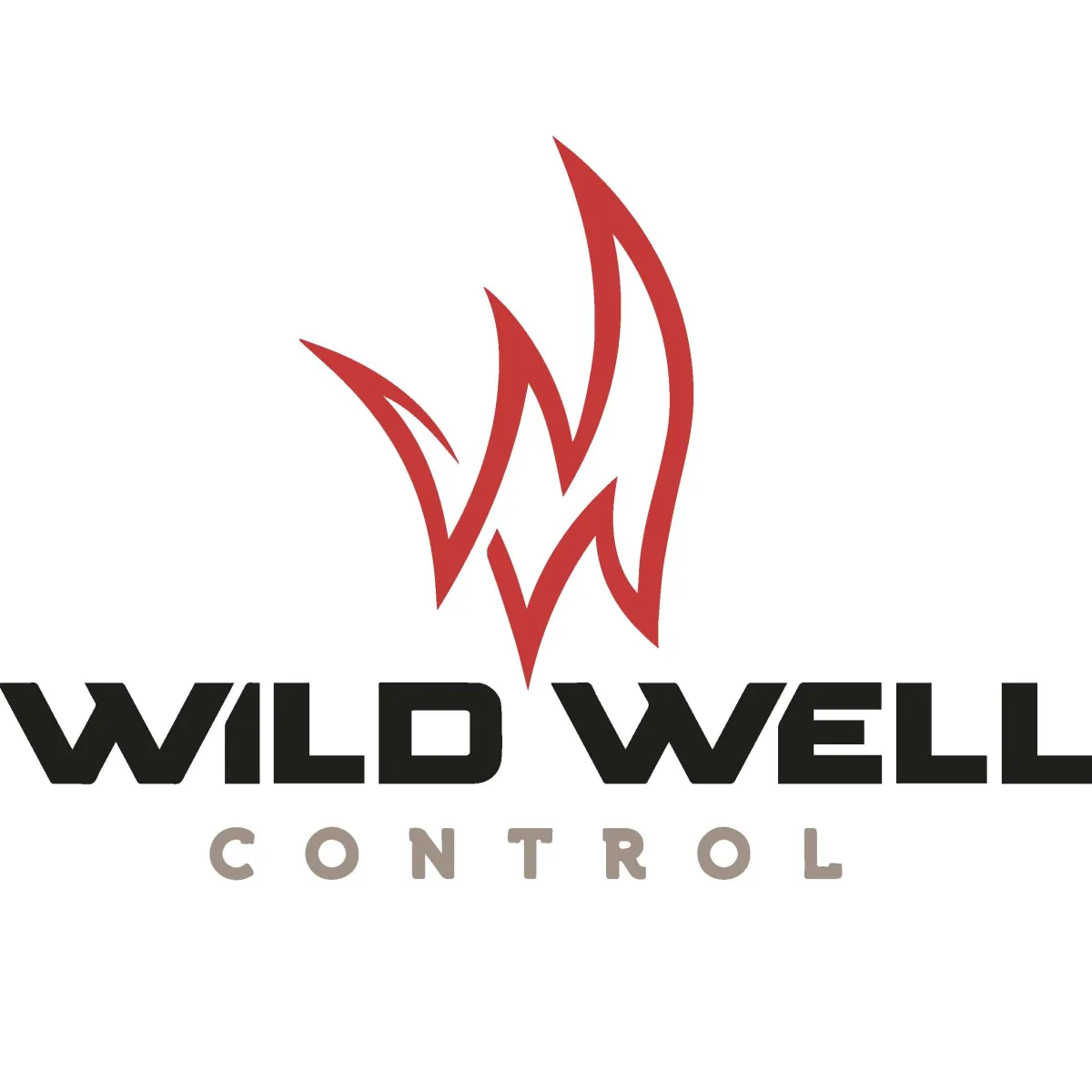 Well Control & Well Engineering Services