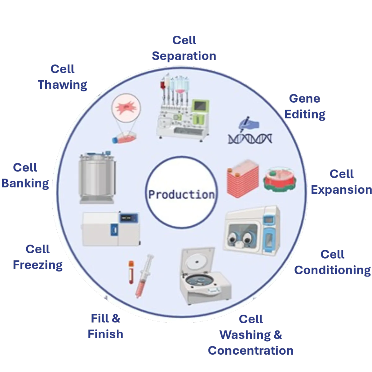 GMP Manufacturing of Cell Therapies
