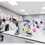 In vitro bioassays