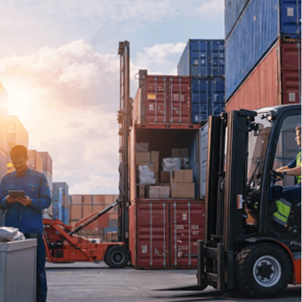 CFS & Packing Module - Container Freight Stations