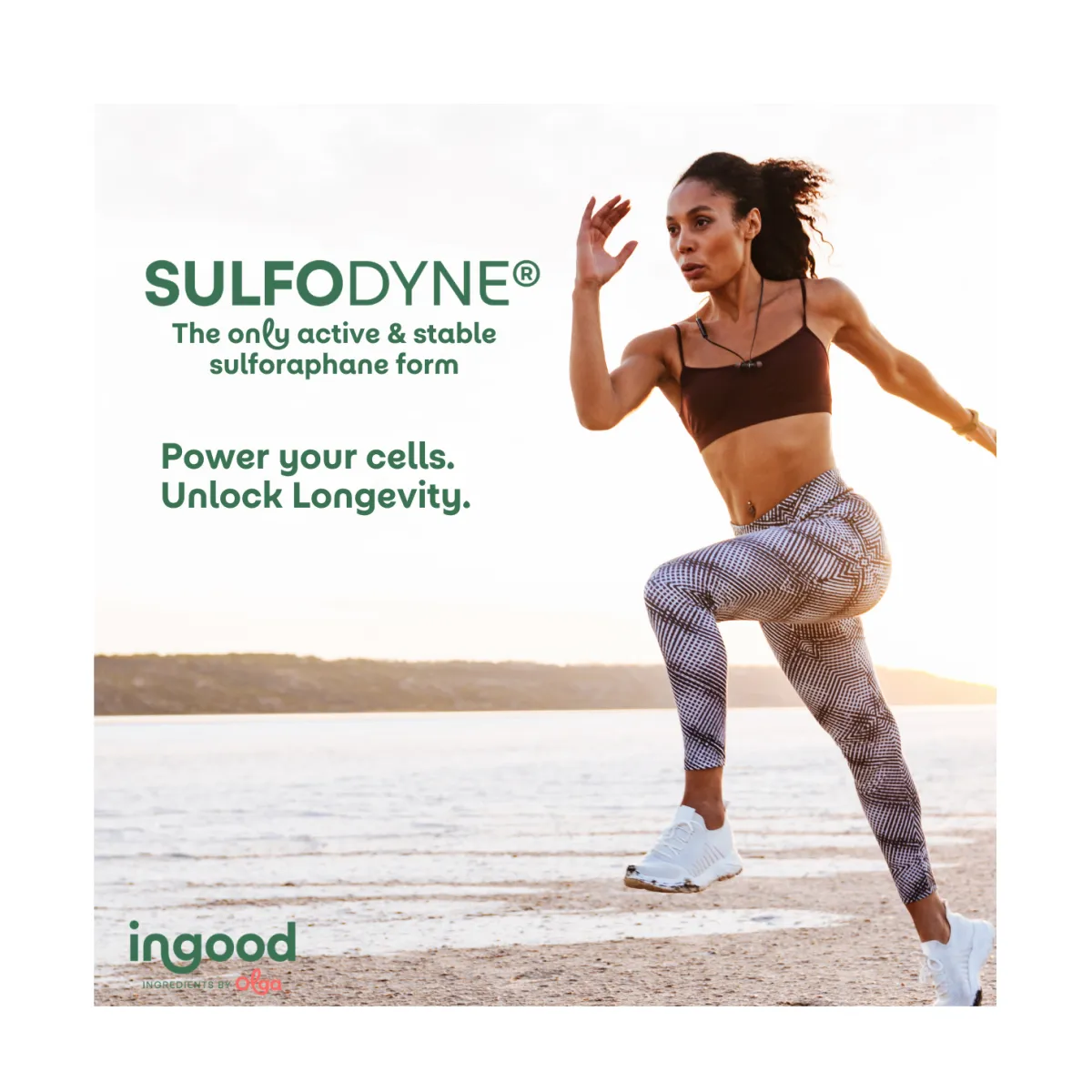 SULFODYNE® 5% sulforaphane