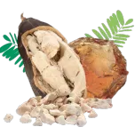 inavea™ BAOBAB ACACIA a friendly microflora regulator