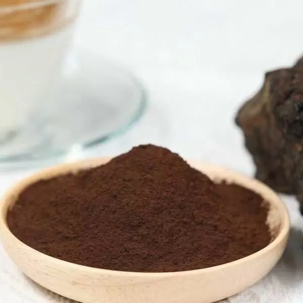 Organic Chaga extract 8:1