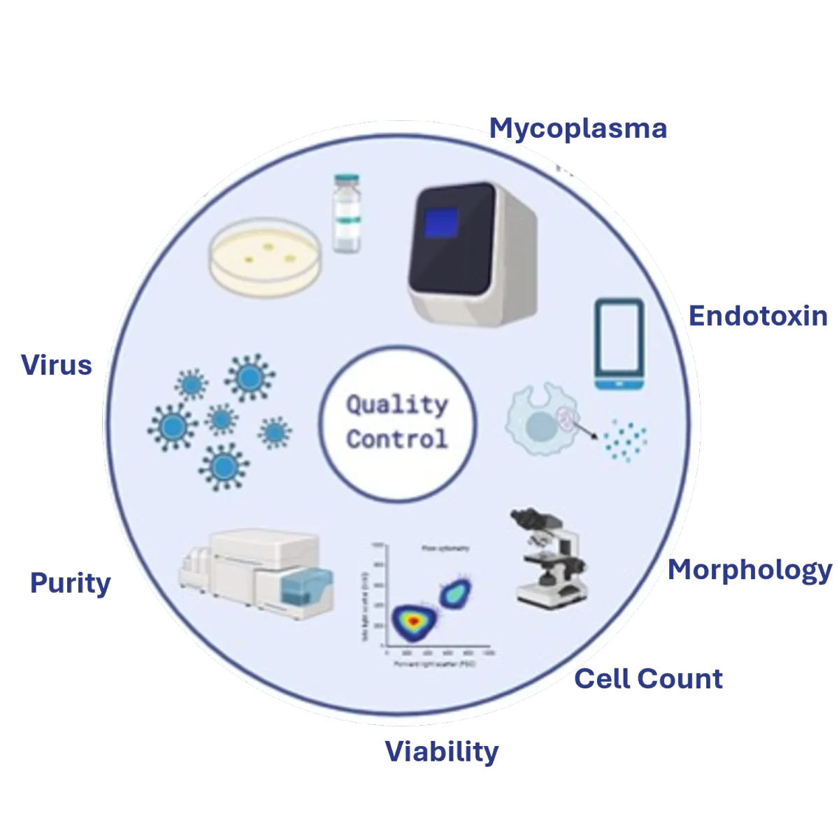 Quality Control & Characterization