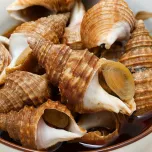 Boiled Whelk