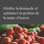 Metro - Predicting demand and optimizing workforce management