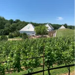 The Middleburg Virginia Wine Experience by Vino Virginia Wine Country Experiences