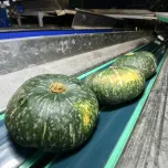 Correias Transportadoras