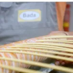 BADAMID - PA6, PA66, PA66/6, PA6/6T, PPA, PA9T, PA610, PA612 e PA12