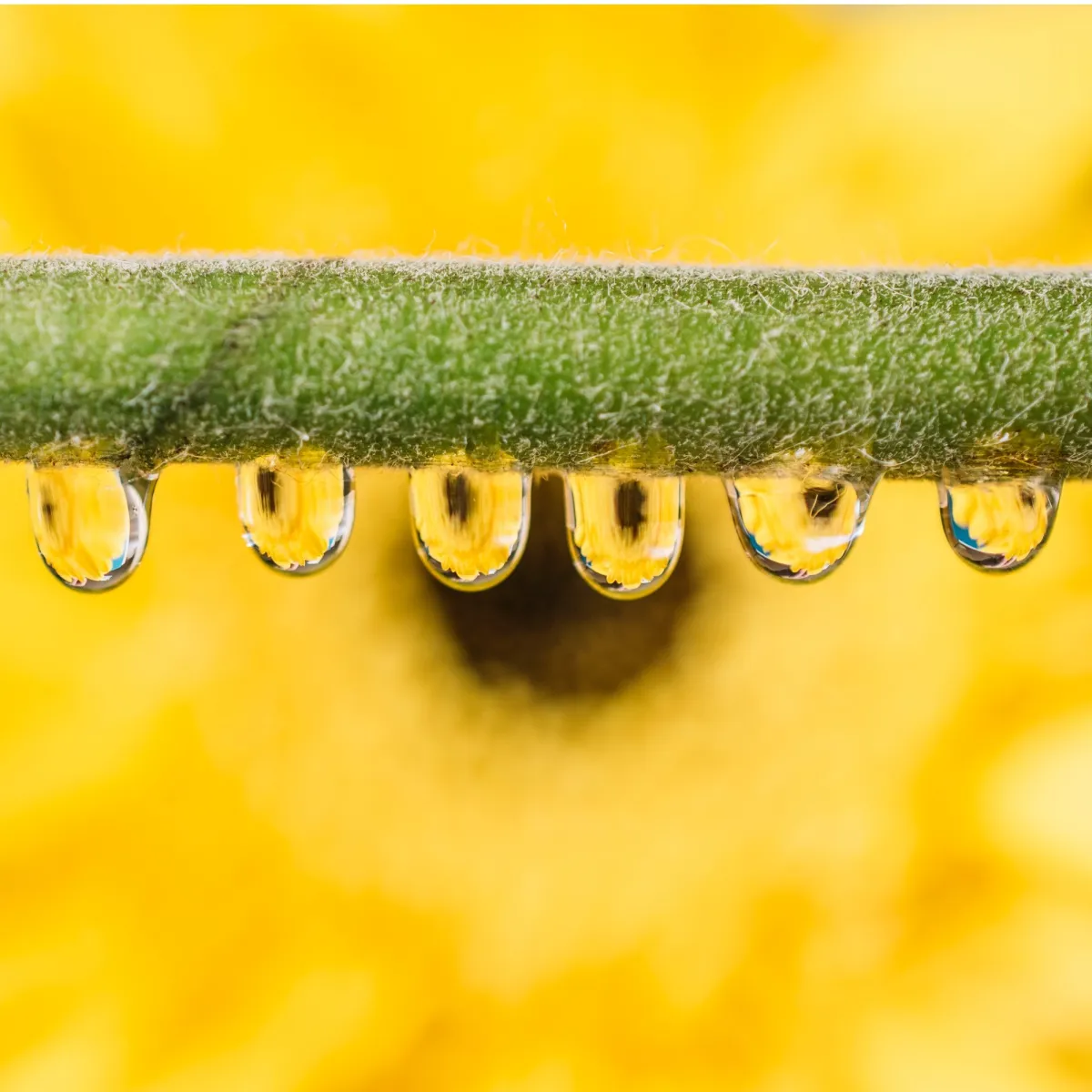 BTSA Strengthens Its Commitment to Sustainability Through Innovation and Circular Economy