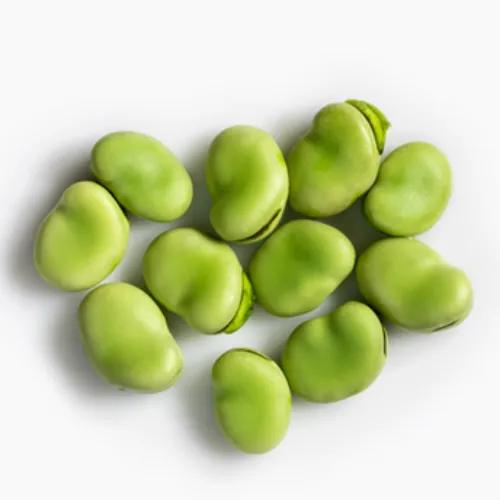 Fava bean proteins