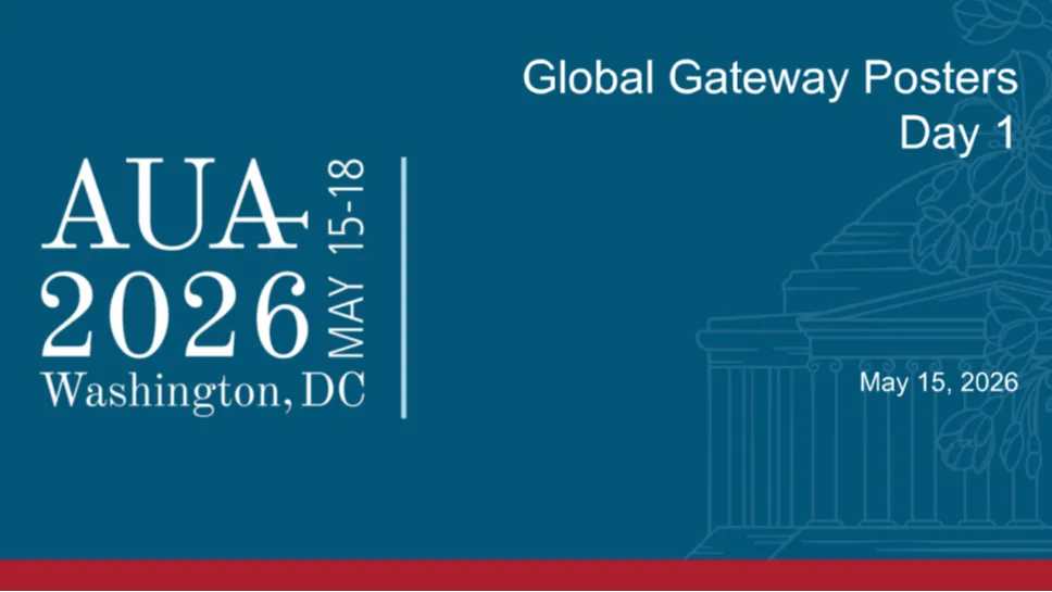Global Gateway Posters Day 1