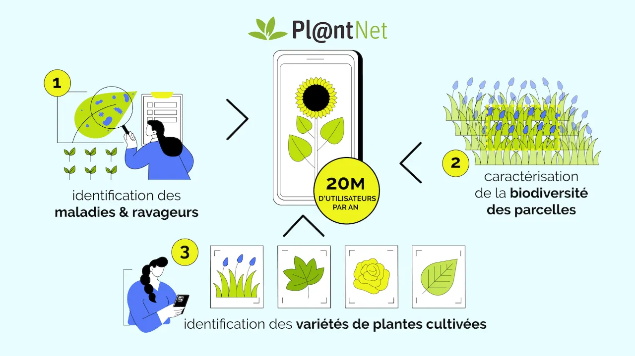 Pl@ntAgroEco : IA et science participative au service du diagnostic des maladies et de la gestion au champ