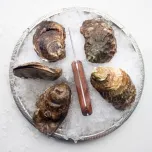 Northern East Coast Oysters