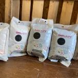 Un enduit decoratif 100 % végétal révolutionnaire