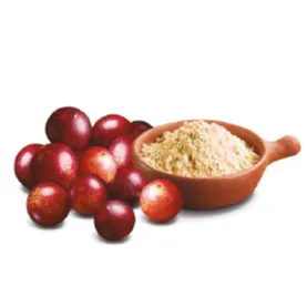 Camu Camu Powder