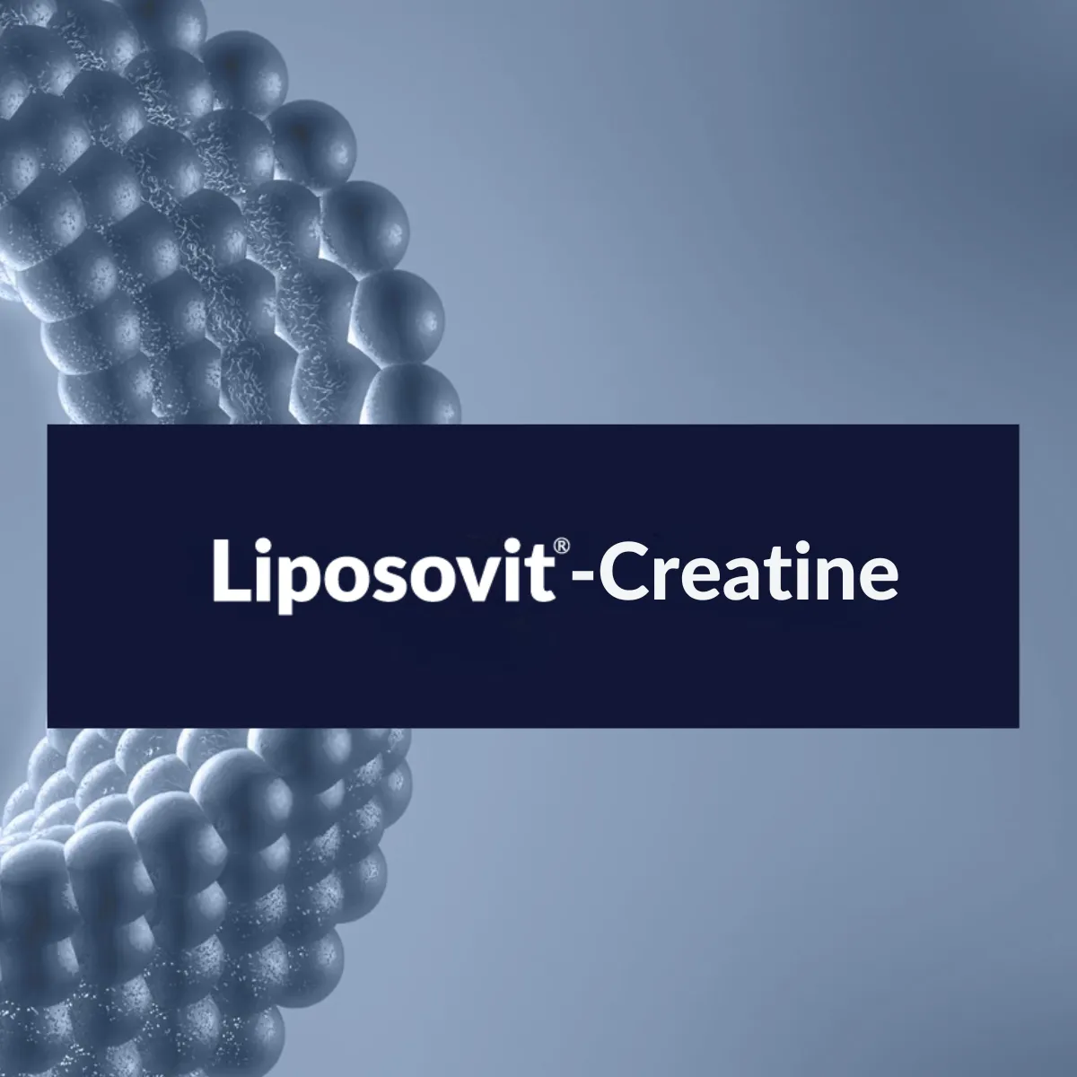 Liposovit®-Creatine