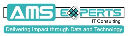 AMS Experts IT Consulting