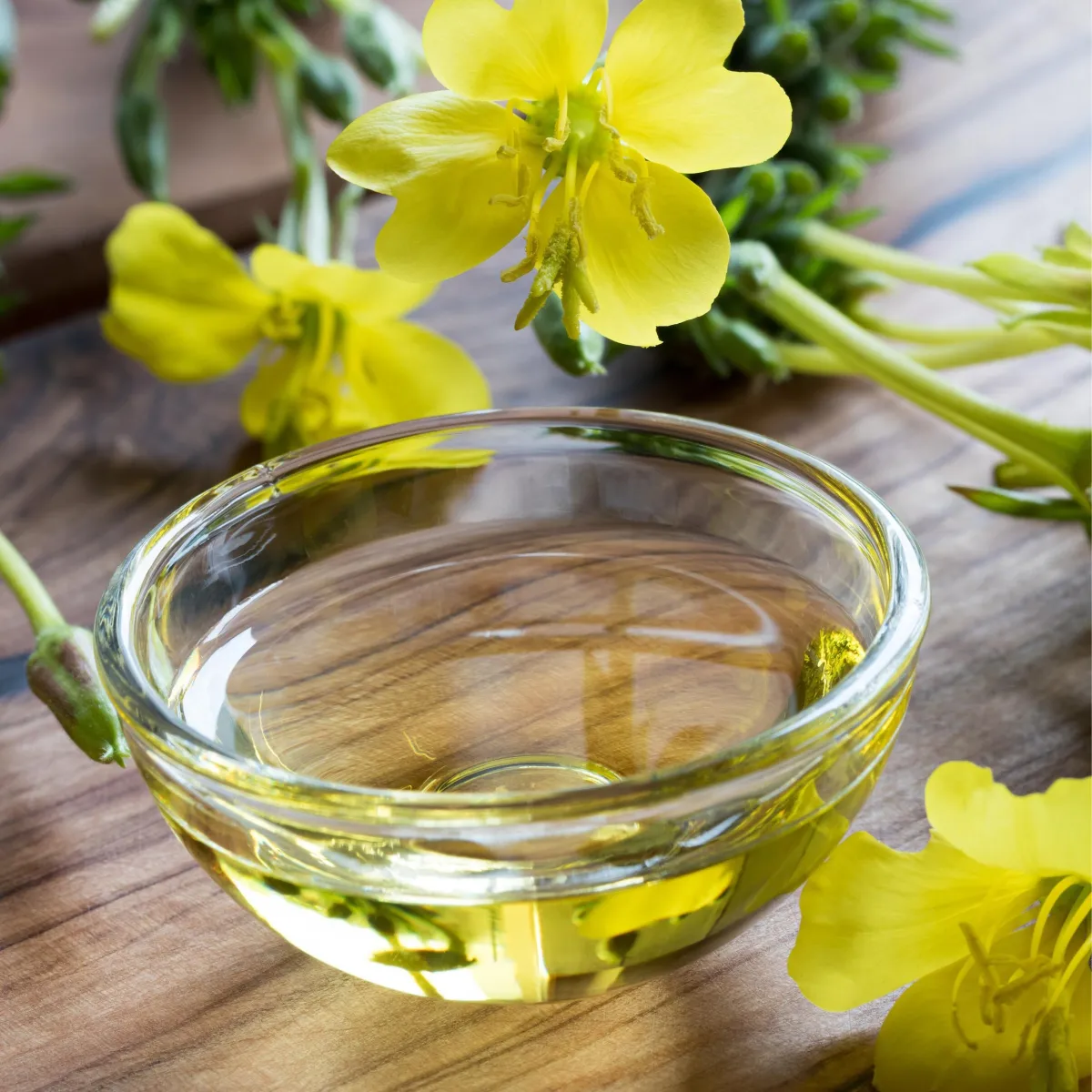 Evening Primrose Oil